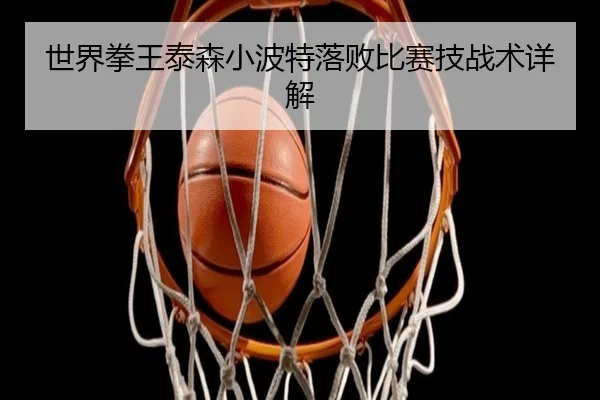 世界拳王泰森小波特落败比赛技战术详解 - Haomen